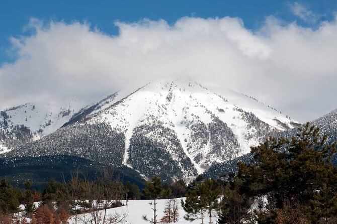 Bursa Uludağ Mountain Tour From Istanbul w/Lunch & Hotel Transfer - Ulu Camii stop: the Great Mosque break you don’t rush