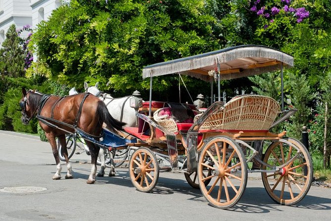 Buyukada Princes’ Island Guided Day Tour with lunch from Istanbul - From Taksim to the Port: Pickup and the Real Timing