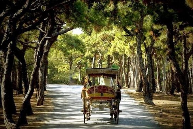 Buyukada Princes’ Island Guided Day Tour with lunch from Istanbul - Island Highlights You’ll Actually Notice: Mansions, Pines, and Ottoman + Byzantine Echoes