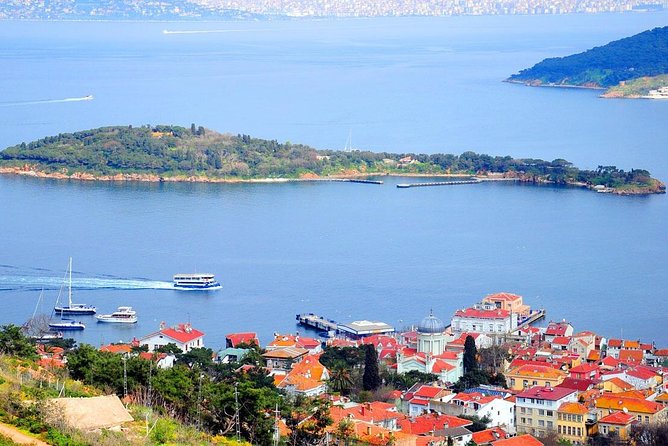Buyukada Princes’ Island Guided Day Tour with lunch from Istanbul - Beach Time After Lunch: Swim Plans vs. Access Reality