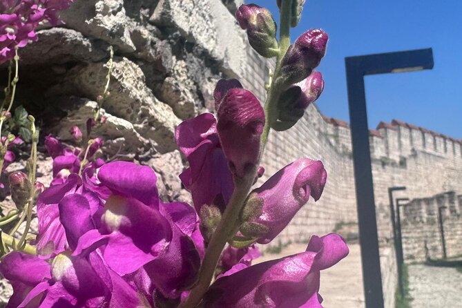 Byzantion Walk Path and City Walls of Istanbul - Why the Byzantion Walk Path is worth your morning