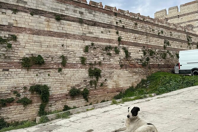 Byzantion Walk Path and City Walls of Istanbul - Timing, meeting point, and how the day feels