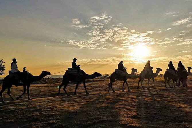 Camel Safari in Cappadocia - Red Valley and Rose Valley by camel: why it works