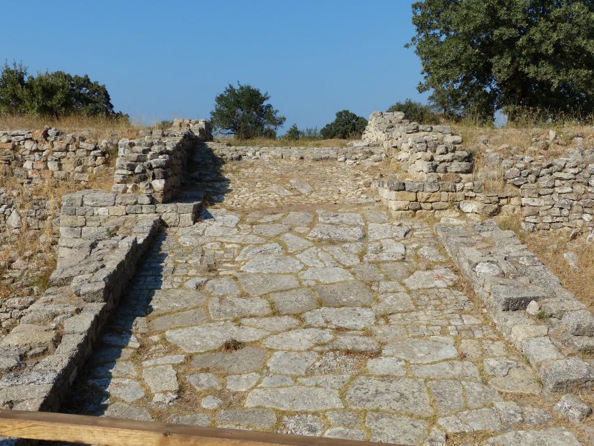 Canakkale: Half-Day Troy Tour - Archaeology in Action: Why Schliemann to Today Still Matters