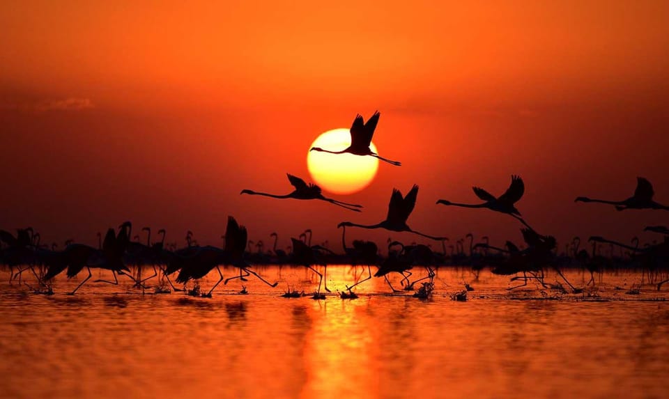 Cappadocia Amazing Sunset Tour To Salt Lake - Price and Value: $354 Per Group Up to 4