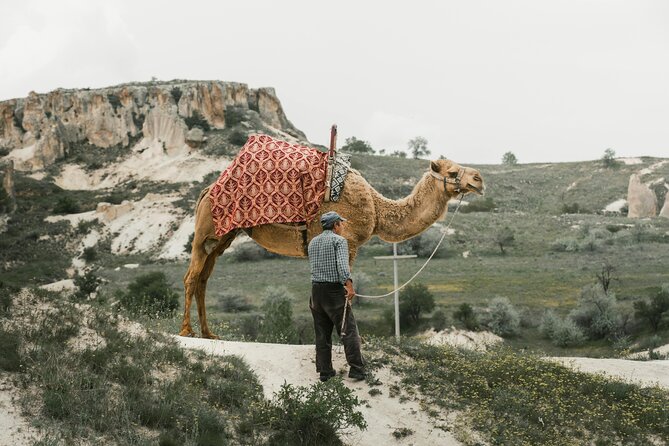 Cappadocia Camel Ride Experience with Hotel Pickup - Hotel Pickup Makes This Camel Ride Feel Effortless