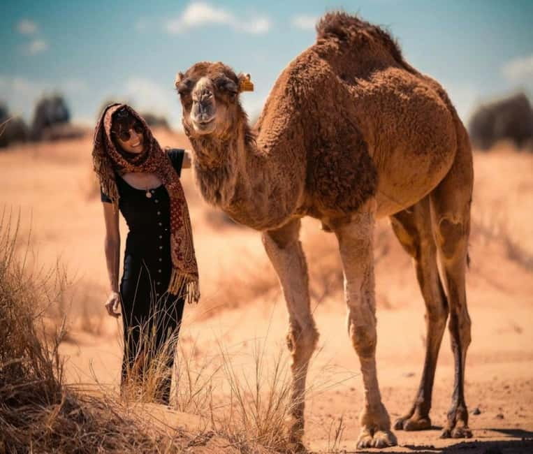 Cappadocia: Camel Safari Tour with Transfer - Key things I’d plan around