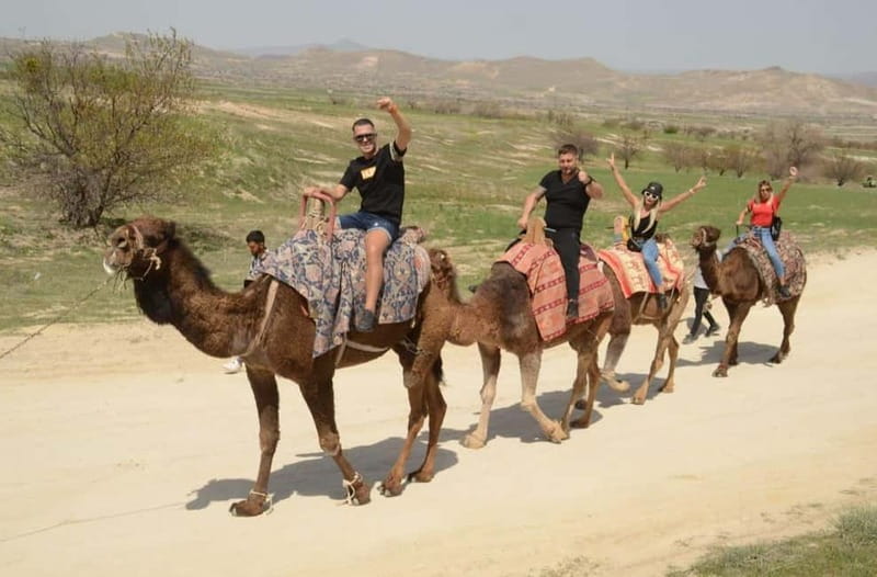 Cappadocia: Camel Safari Tour with Transfer - Comfort, Safety, and Who Should Rethink Booking