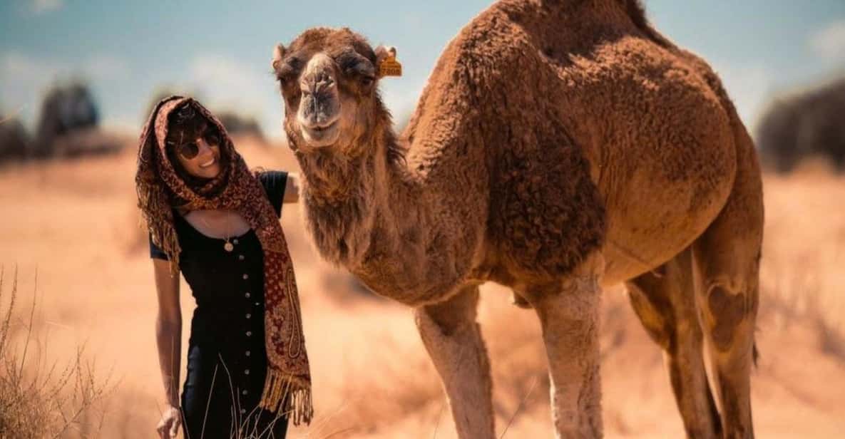 Cappadocia: Camel Safari Tour with Transfer - Should You Book This Camel Safari With Transfer?