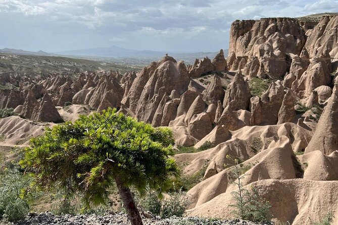 Cappadocia Daily Red Plus Tour - Pasabag fairy chimneys: the iconic “three-headed” view
