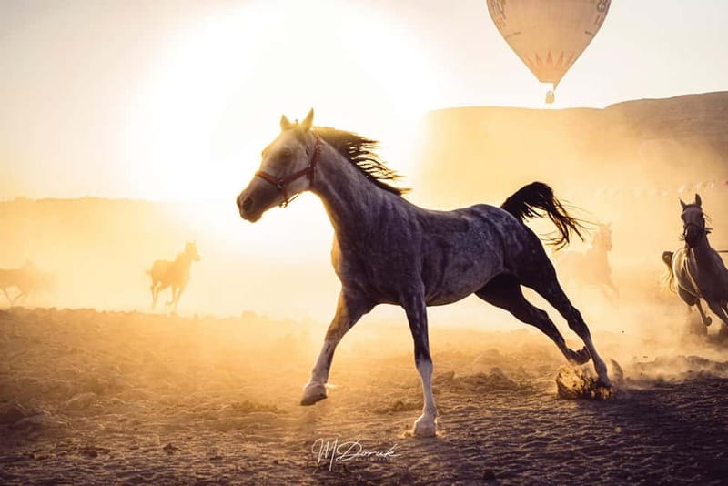 Cappadocia: Fascinating Horse Tour in Göreme Valleys - Why a Cappadocia Horse Tour Feels Different in the Göreme Valleys