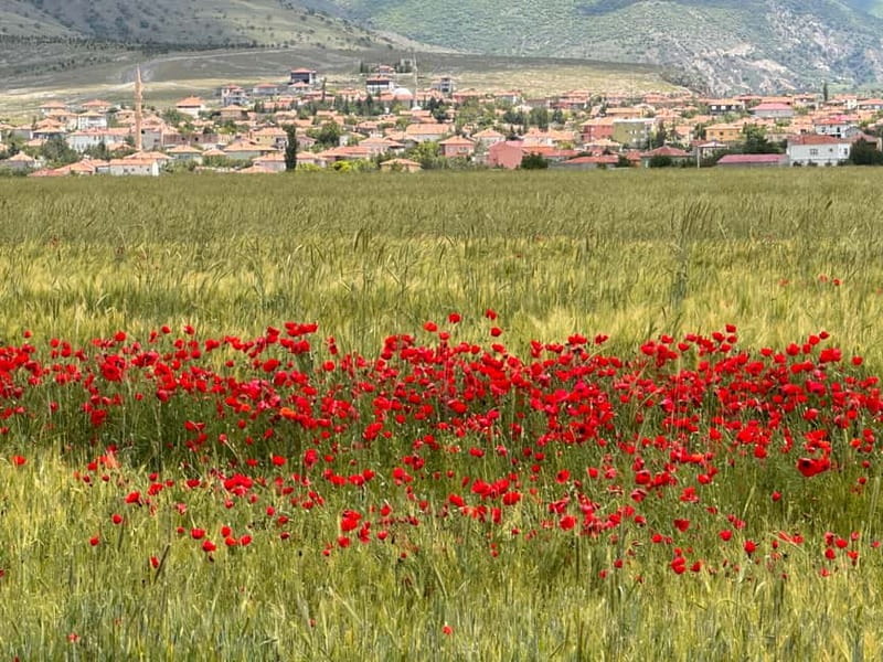 Cappadocia: Green Tour with Derinkuyu Underground City - Timing reality: plan for a long day, but buffer your evening