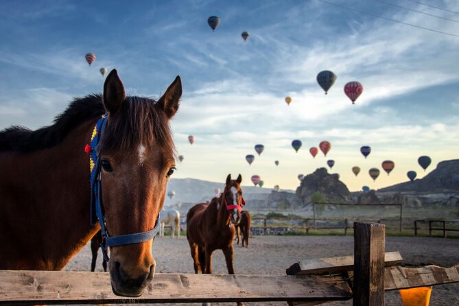 Cappadocia Horse Riding Tour: Sunrise, Sunset, 1 Hour or 2 Hours - Sunrise or Sunset in Göreme: What Makes This Ride Different
