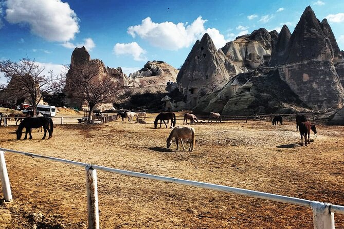 Cappadocia Horse Riding Tour: Sunrise, Sunset, 1 Hour or 2 Hours - Rose Valley and the Valley-Route Style of Cappadocia Riding