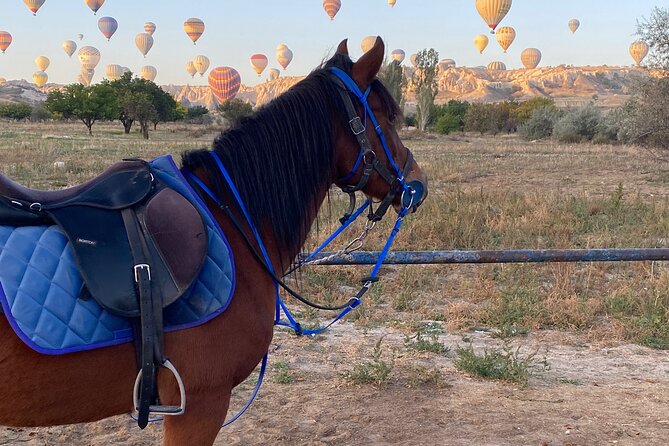 Cappadocia Horseback Ride through Valleys — Sunset/hoteltransfer - Pace, Safety, and Why Calm Can Be the Best Option
