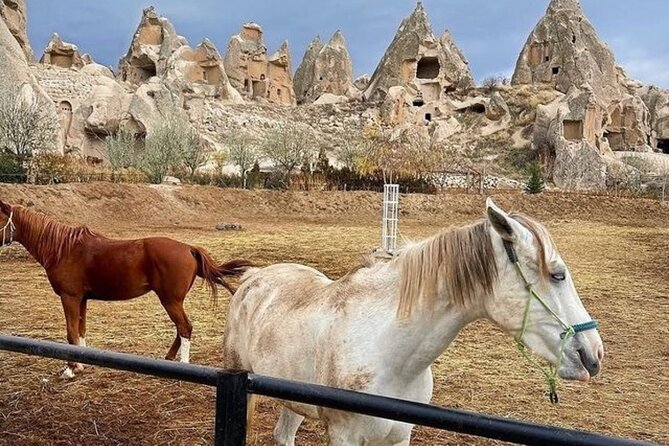 Cappadocia Horseback Riding Tour (Transfer Included) - Entering Cappadocia on horseback instead of in traffic