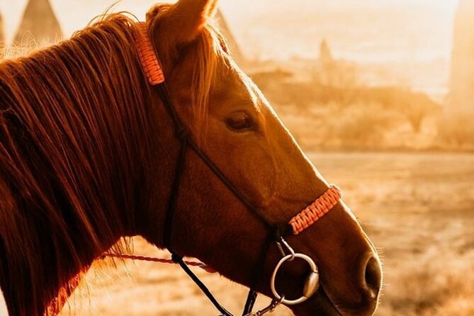 Cappadocia Horseback Riding Tour (Transfer Included) - Price and what you actually get for $55.24