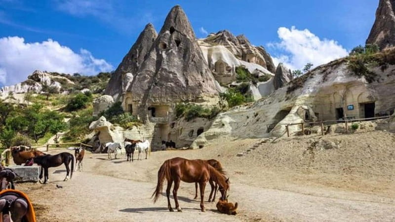 Cappadocia Horseback Riding : Unique Exploration Horse Tour - Key Highlights You’ll Feel (Not Just See)