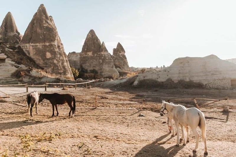 Cappadocia Horseback Riding : Unique Exploration Horse Tour - Rose Valley and Göreme: Your First Real Taste of Cappadocia