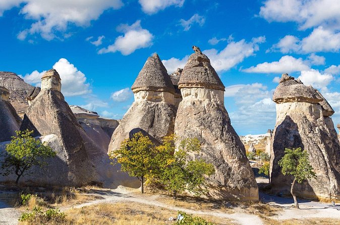 Cappadocia Mix Tour with Lunch and Tickets - Stop 6: Paşabağ Fairy Chimneys and Their Double/Triple Caps