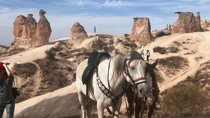 Cappadocia Private Combined Tour with Lunch - Price and logistics: what’s included in the $119