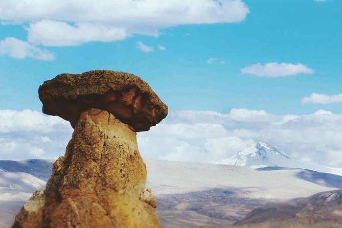 Cappadocia Private Tour - Cappadocia's All Highlights in 1 Day - Devrent Valley (Imagination Valley): Animal Shapes Without Any Effort