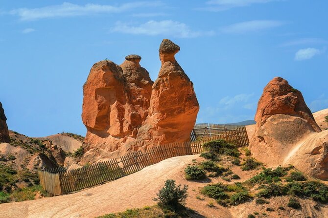 Cappadocia Private Tour (Car&Guide) All Languages - Devrent Valley: imagination at work in stone