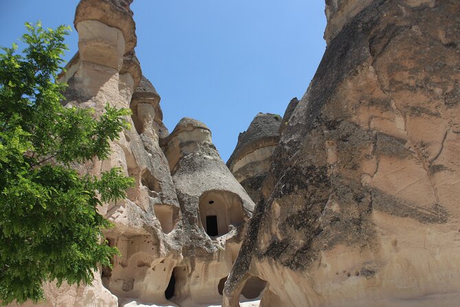 Cappadocia Red Tour: Fairy Chimneys & Cave Villages - Devrent Valley: quick camel-and-elephant photo moments