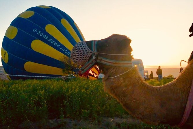 Cappadocia: Sunrise Camel Safari - Meeting points, timing, and what the 1.5 hours really feels like