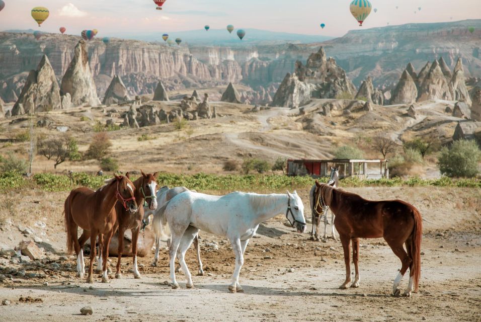 Cappadocia: Sunset Horseback-Riding Tour - What’s included, and what you’ll need to handle