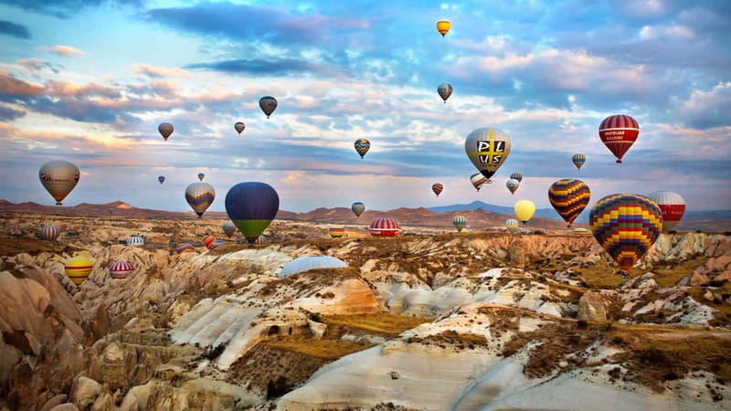 Cappadocia: Top Sites Day Tour with Underground City - Devrent (Imagination Valley): animals in stone