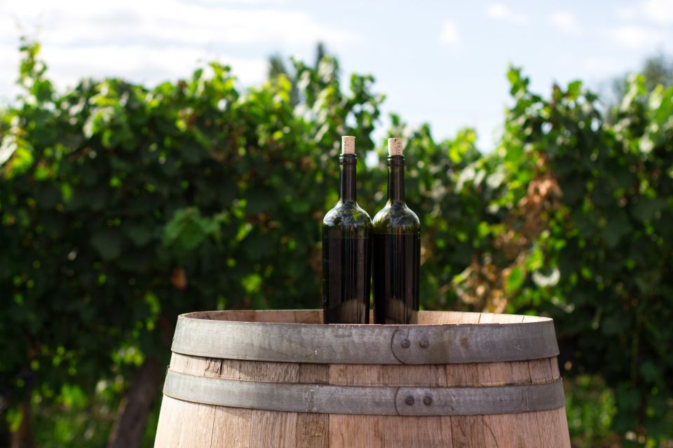 Cappadocia Vineyards Private Tour and Wine Tasting - Ürgüp Wine Factory Rock Cellars and Three Local Wines