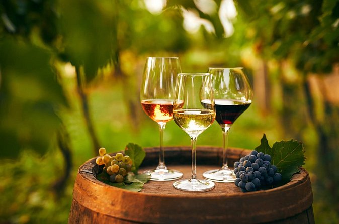Cappadocia Wine Tasting Experience - The tasting flight: grapes that define Cappadocia