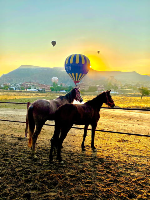 Cappadocia's Sunrise Horseback Riding - Rose Valley at Dawn: Colors, Quiet, and Horse Rhythm