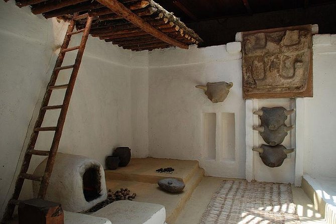 Catalhuyuk Archeological Site Tour - Key highlights worth planning around