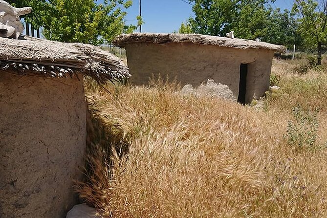Catalhuyuk Archeological Site Tour - Guides and transport: what makes it feel worth it