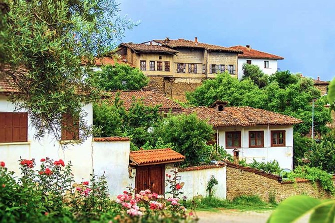 Cesme-Alacati Tour from Izmir - Driver-only means your questions matter more