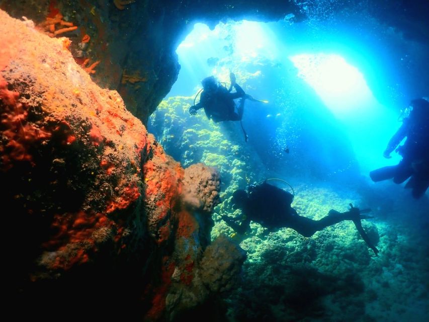 Cesme: Scuba Diving Experience - Key Highlights You’ll Actually Care About