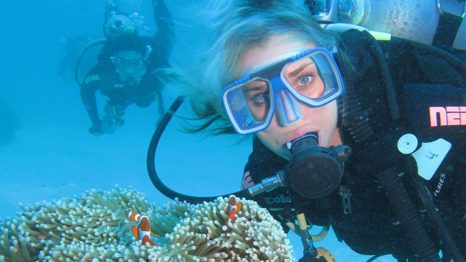 Cesme: Scuba Diving Experience - Cesme’s Aegean Water: What This Day Really Offers