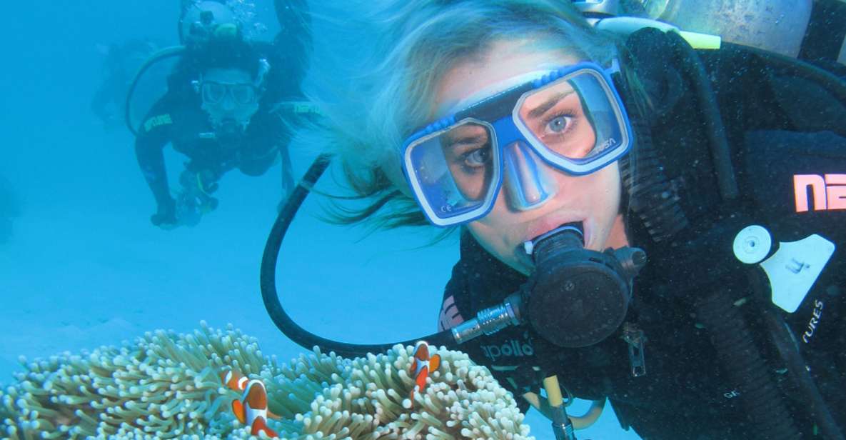 Cesme: Scuba Diving Experience - The Morning Setup: What Happens Before You Hit the Water