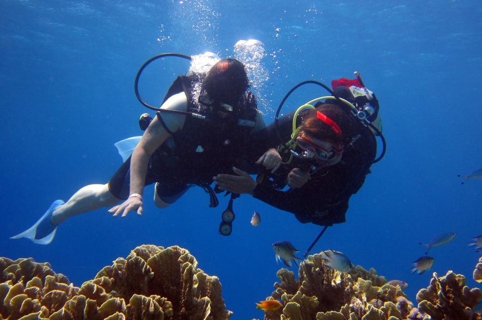 Cesme: Scuba Diving Experience - Onboard Break Time: Deck Views and the “Ask Anything” Window