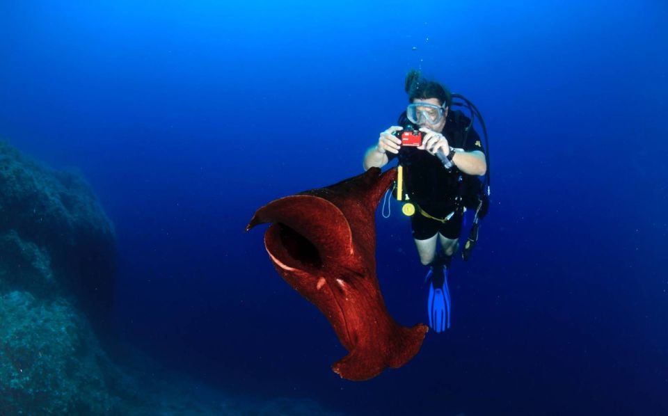 Cesme: Scuba Diving Experience - Lunch and What’s Included: The Stuff That Makes the Day Easier