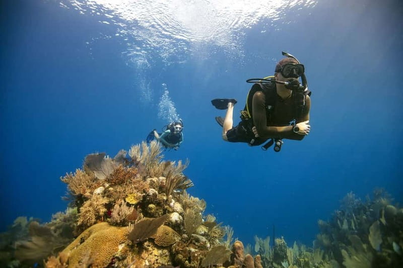 City of Side: Scuba Diving Underwater Museum with Pickup - Two Underwater Sessions in Side’s Clear-Water Zone