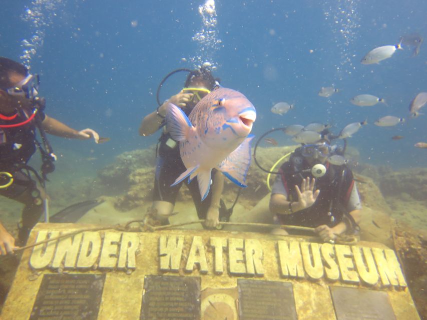 City of Side: Scuba Diving with Lunch - Photos, snacks, and the extras that change the real value
