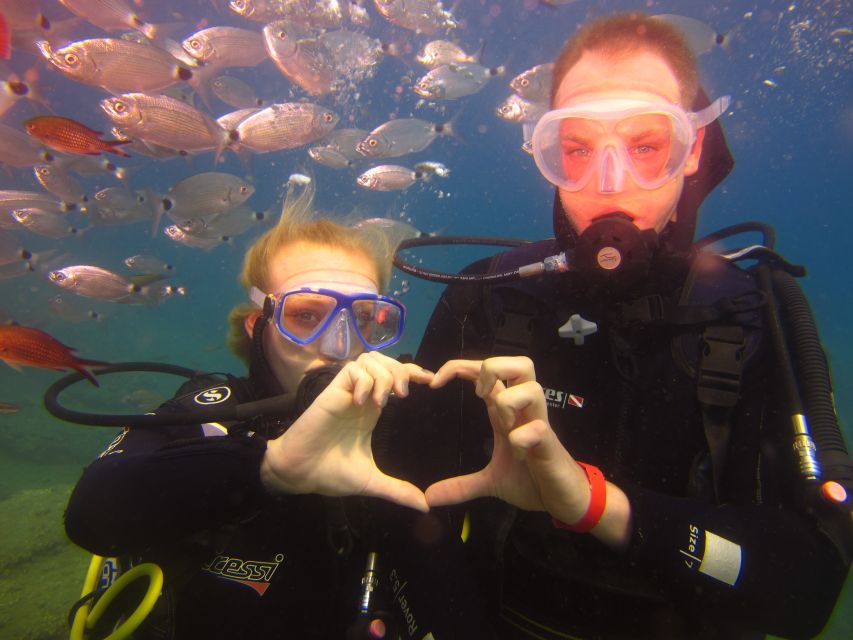 City of Side: Underwater Museum Scuba Diving Visit - Should You Book It?