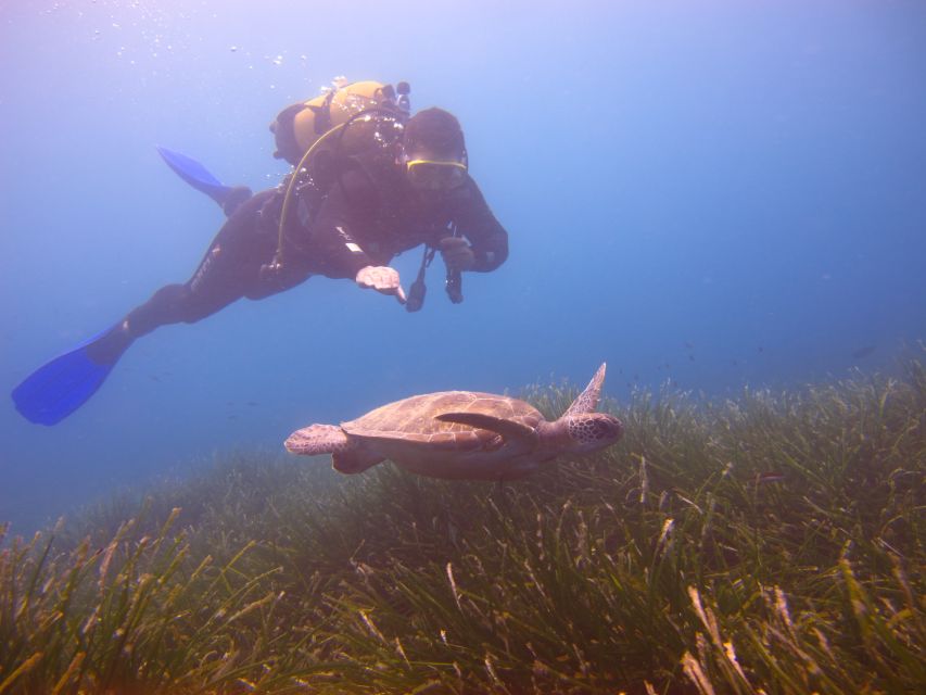 City of Side: Underwater Museum Scuba Diving Visit - Underwater Museum Time: What Two 20-Minute Sessions Actually Gives You