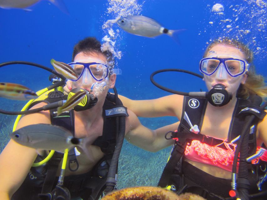 City of Side: Underwater Museum Scuba Diving Visit - Price and Value: Does It Make Sense at Around $50?