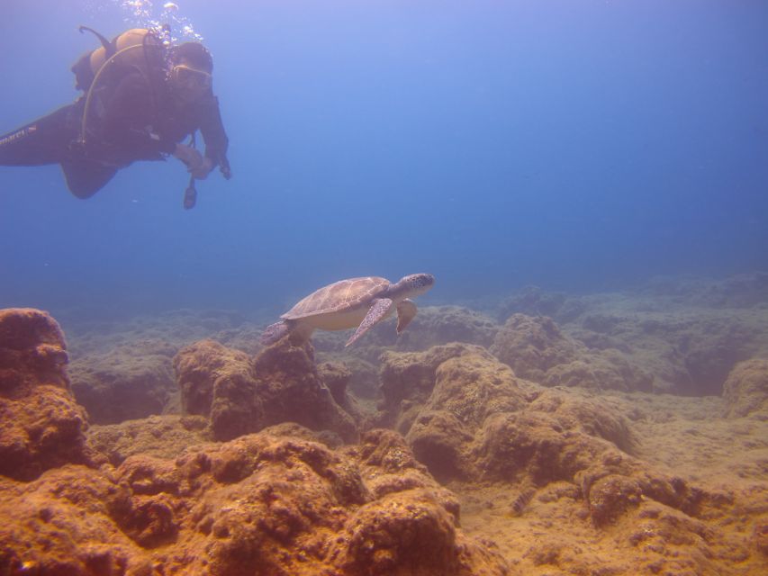City of Side: Underwater Museum Scuba Diving Visit - Who Should Book This Side Underwater Museum Tour