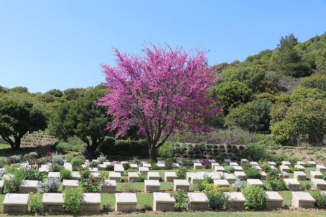 Combined Troy and Gallipoli Tour from Canakkale with onwards transfer to Istanbul - Two eras, one smooth route: Troy to Gallipoli, then on to Istanbul