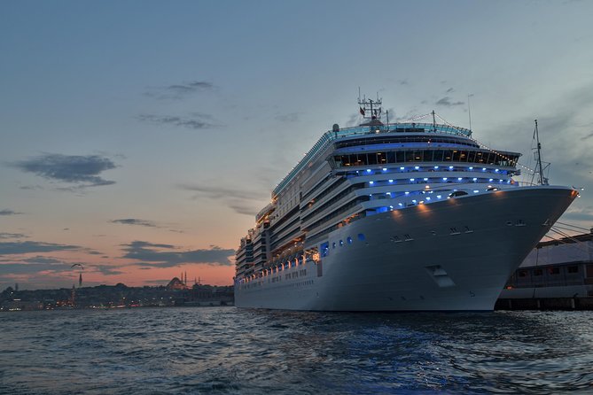 Cruise Shore Excursion - Best of Istanbul - Why this Istanbul shore excursion fits a cruise day